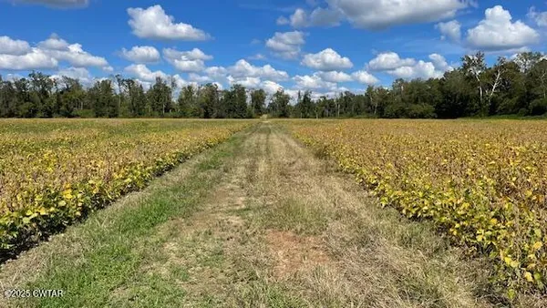 $722,500 | 0 Christmasville Road, Medina, TN 38355