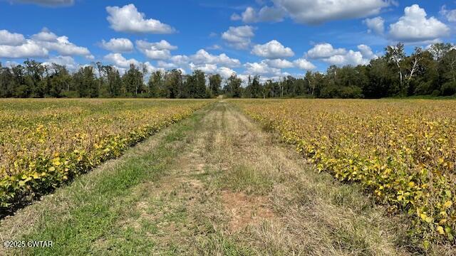 0 Christmasville Road Medina, TN 38355 - Photo 27 of 37 IMG_1894
