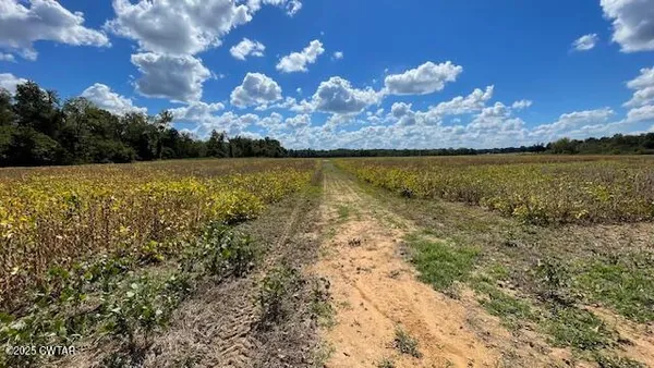 $722,500 | 0 Christmasville Road, Medina, TN 38355