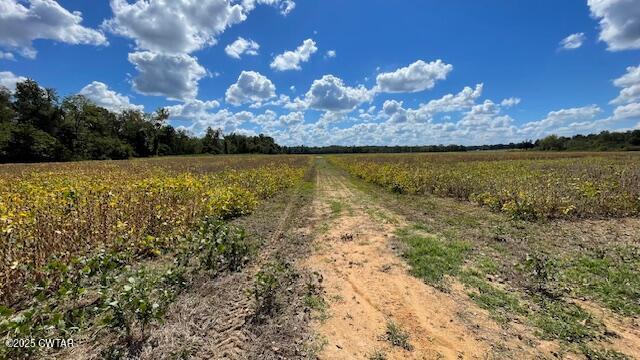 0 Christmasville Road Medina, TN 38355 - Photo 29 of 37 IMG_1891
