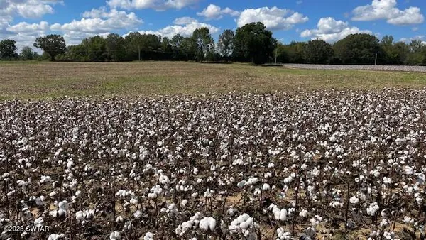 a view of a green field