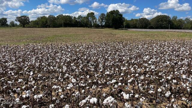 0 Christmasville Road Medina, TN 38355 - Photo 3 of 37 a view of a green field