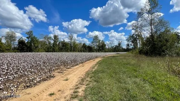 $722,500 | 0 Christmasville Road, Medina, TN 38355