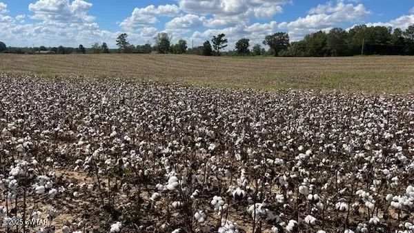 a view of a field with an ocean