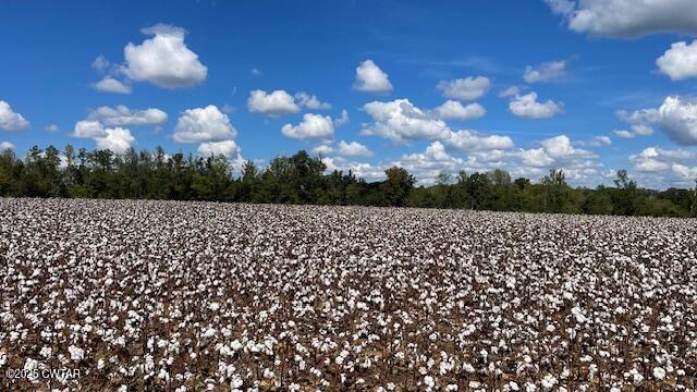 0 Christmasville Road Medina, TN 38355 - Photo 5 of 37 a view of a city