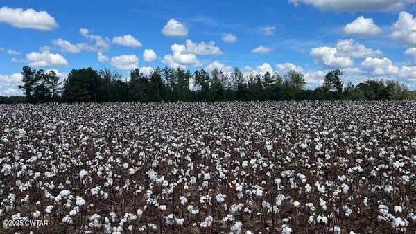 $722,500 | 0 Christmasville Road, Medina, TN 38355