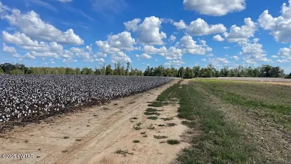 $722,500 | 0 Christmasville Road, Medina, TN 38355