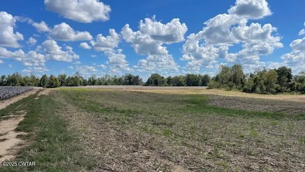 $722,500 | 0 Christmasville Road, Medina, TN 38355