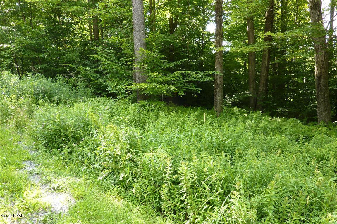 Lot 27 Beech Road Equinunk, PA 18417 - Photo 1 of 5