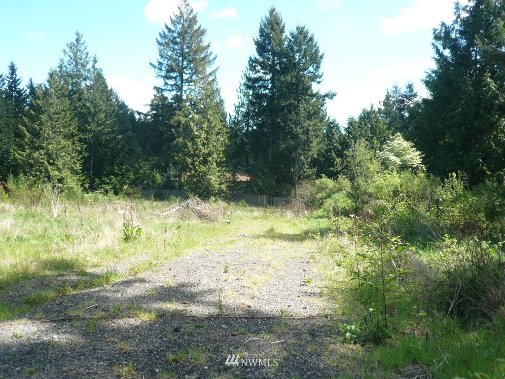 2416 Carpenter Road Southeast Lacey, WA 98503 - Photo 4 of 8 Gallery Image 4