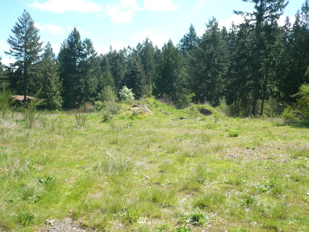 2416 Carpenter Road Southeast Lacey, WA 98503 - Photo 5 of 8 Gallery Image 5