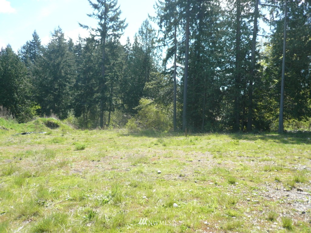2416 Carpenter Road Southeast Lacey, WA 98503 - Photo 6 of 8 Gallery Image 6