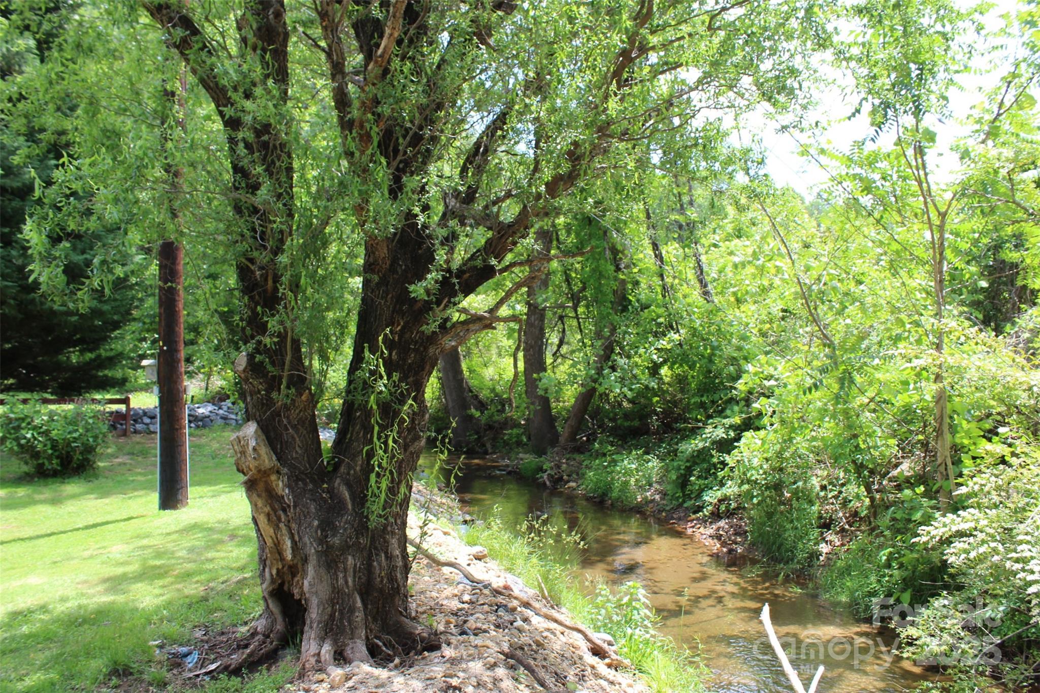 68 Rector Street Tryon, NC 28782 - Photo 8 of 29 a view of a trees in a yard