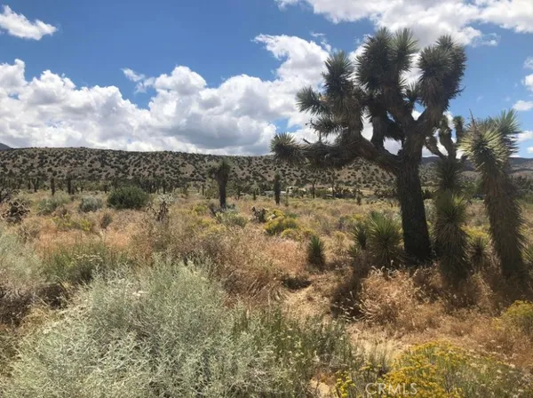 $97,500 | 0 Vac/pearblossom Pav /vic 160 Street, Llano, CA 93544