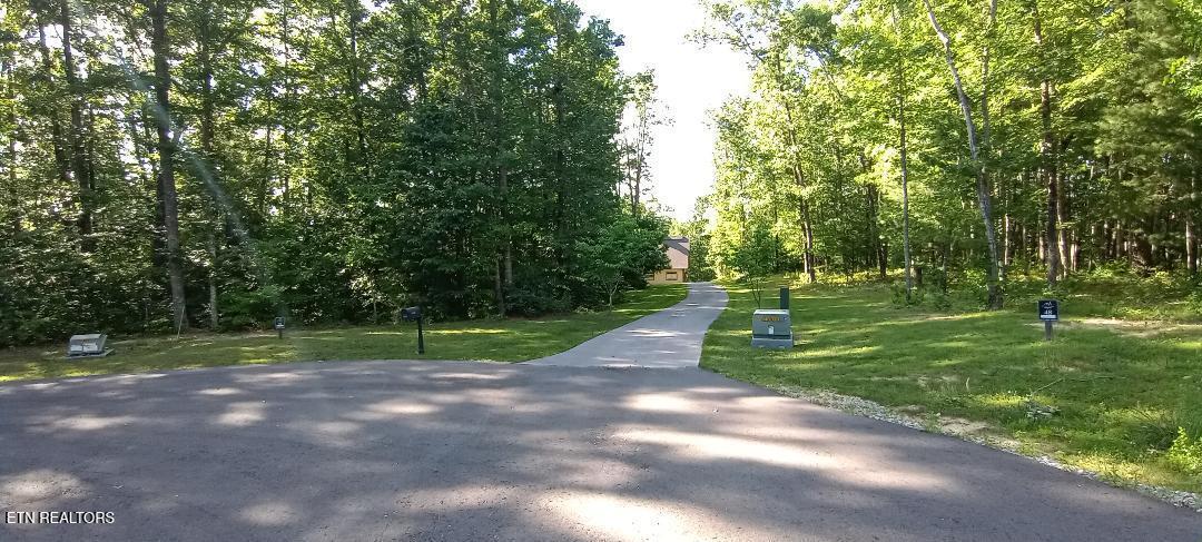 440 Falls Lane Oneida, TN 37841 - Photo 18 of 20 thumbnail
