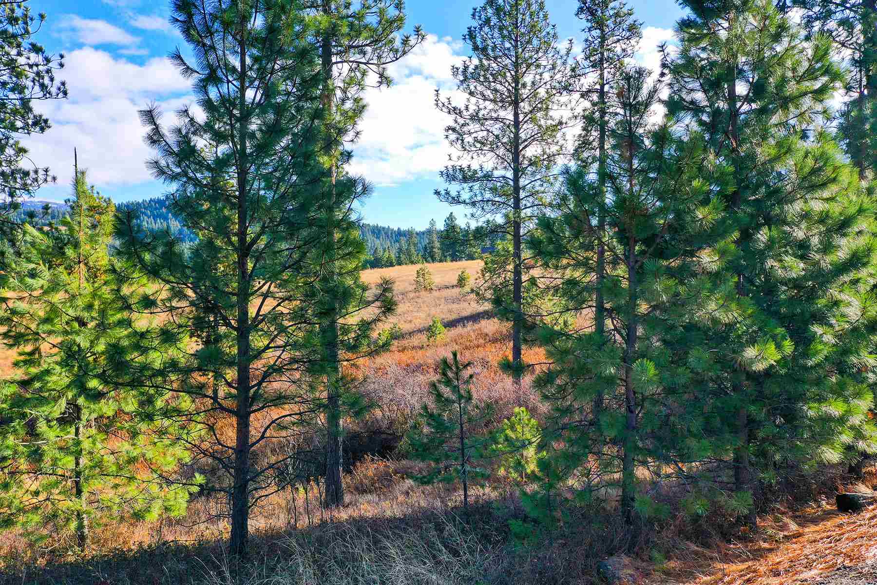Nka South Conklin Road Greenacres, WA 99016 - Photo 8 of 24 Gallery Image 8