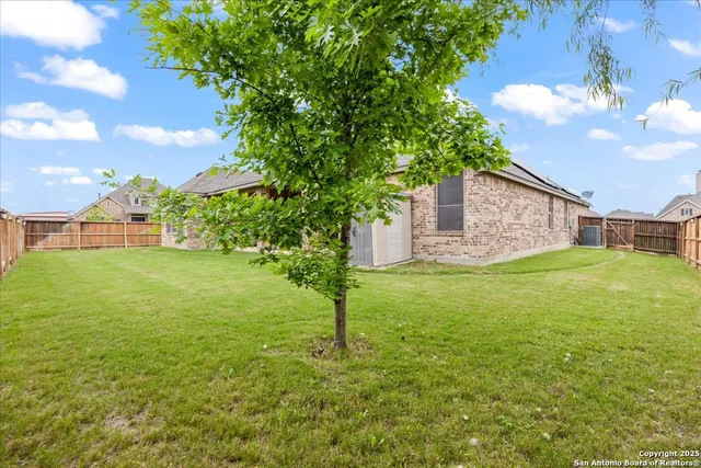 a backyard of a house with plants and large tree