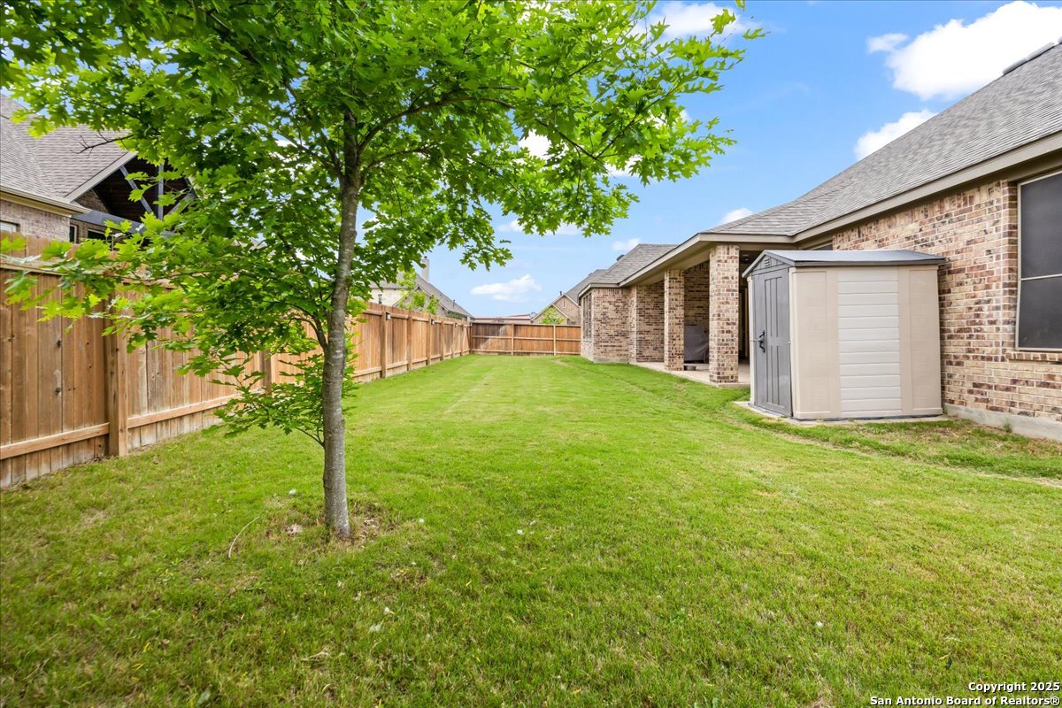 6957 Hallie Loop Schertz, TX 78154 - Photo 42 of 51 a backyard of a house with plants and large tree