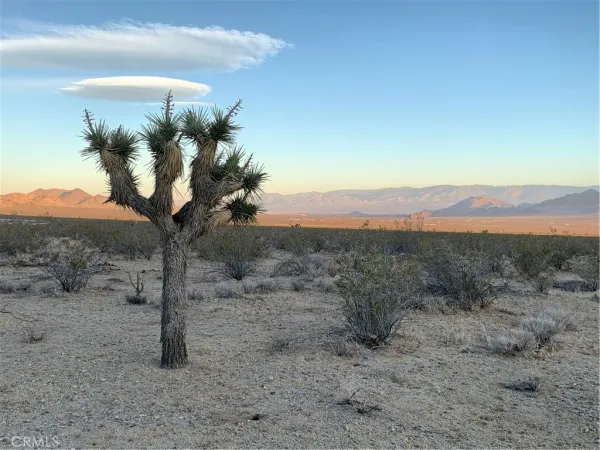 $49,500 | 0 Vl Near Lucerne Valley, Barstow, CA 92311