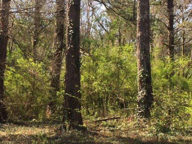 5570 Forsyth Road, Unit 210 Macon, GA 31210 - Photo 1 of 3 a close up of a tree