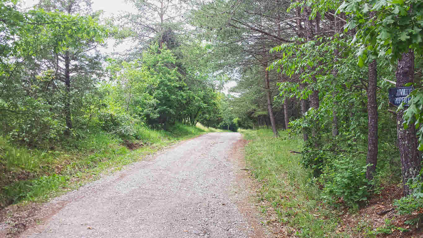 0 Raines Road Elliston, VA 24087 - Photo 4 of 7 Gallery Image 4