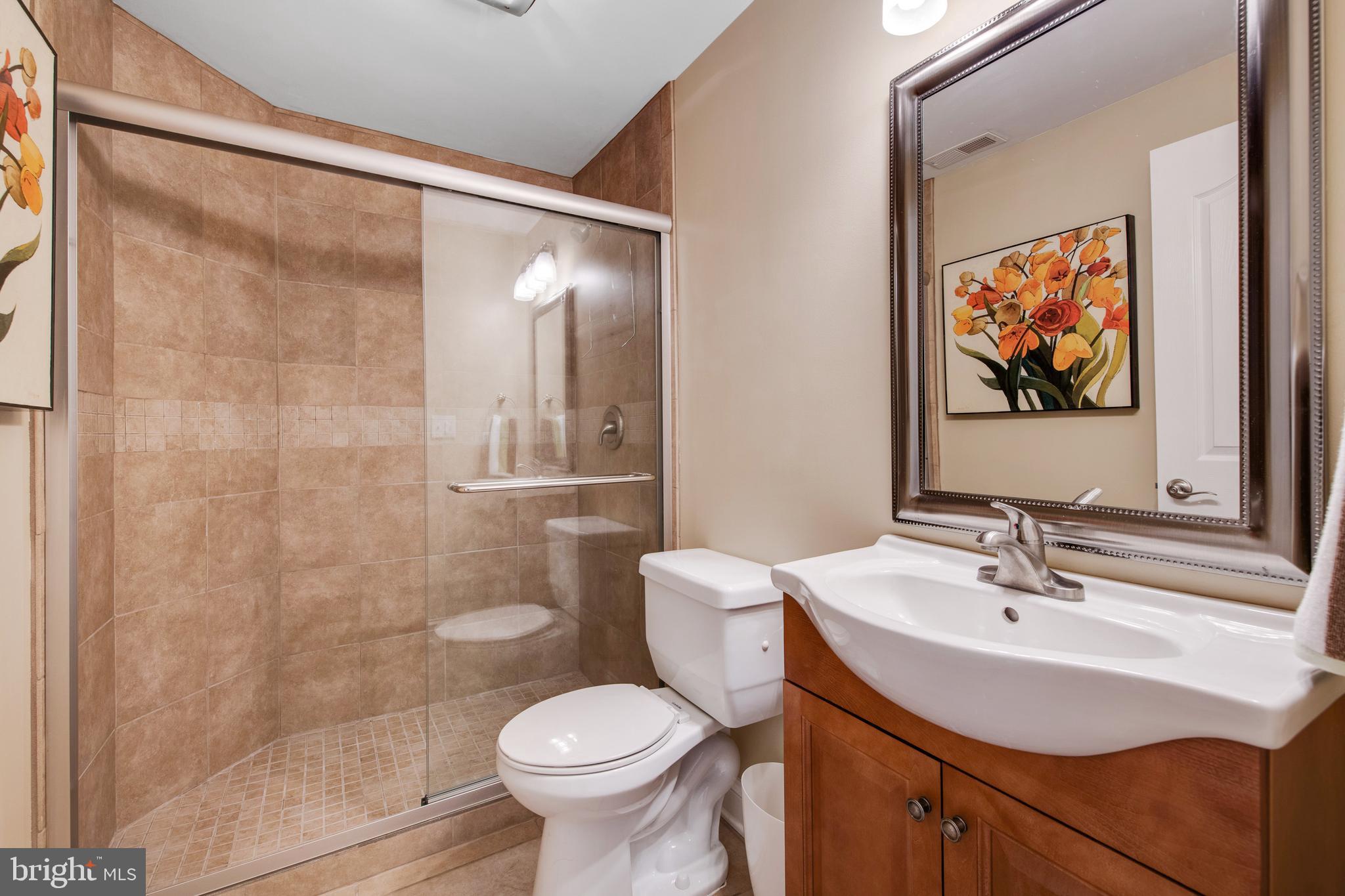 1066 Berberi Road Westminster, MD 21157 - Photo 40 of 58 3rd Full Bath in Basement