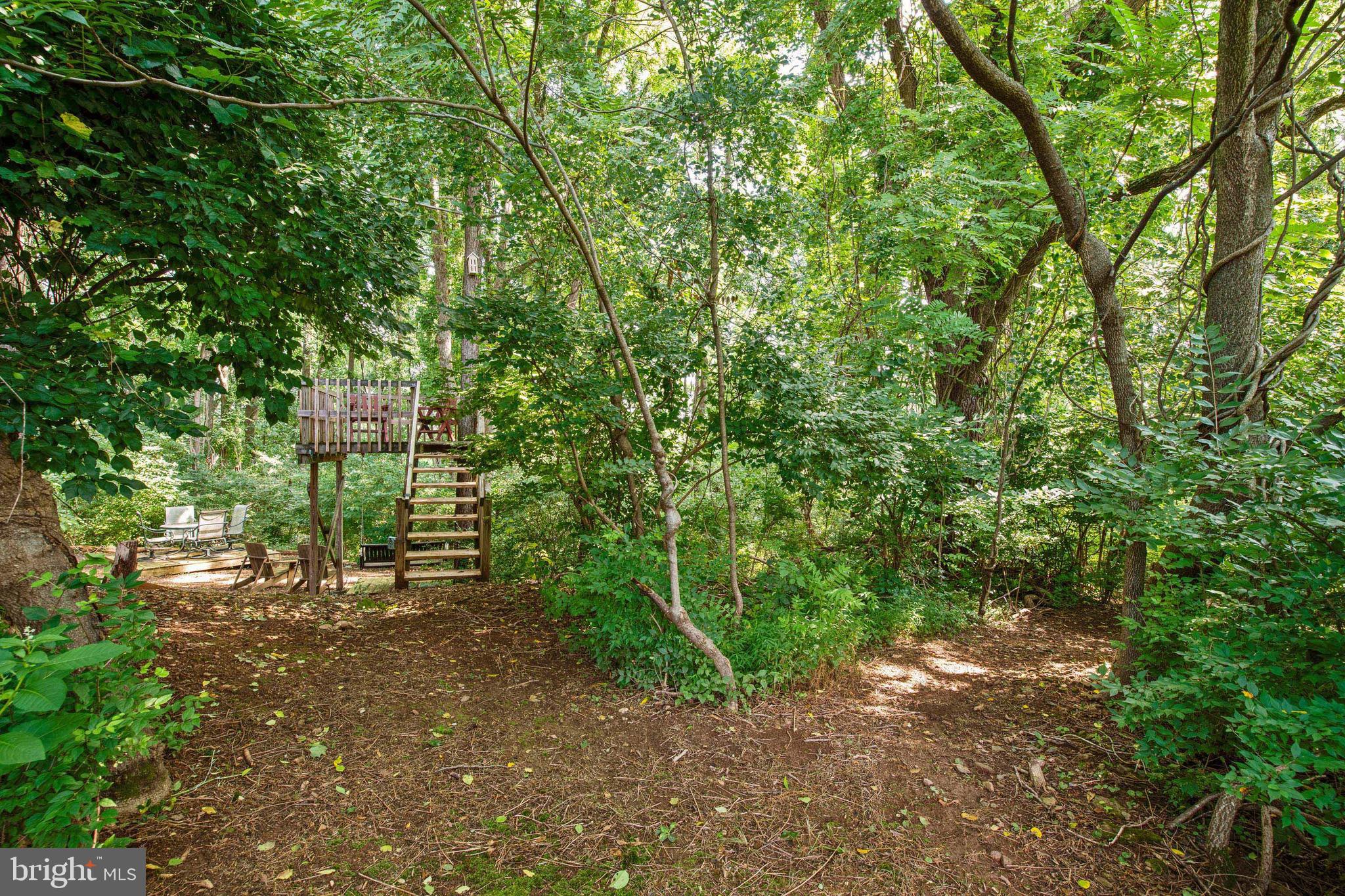 1066 Berberi Road Westminster, MD 21157 - Photo 44 of 58 Take a Path to the Charming Tree House