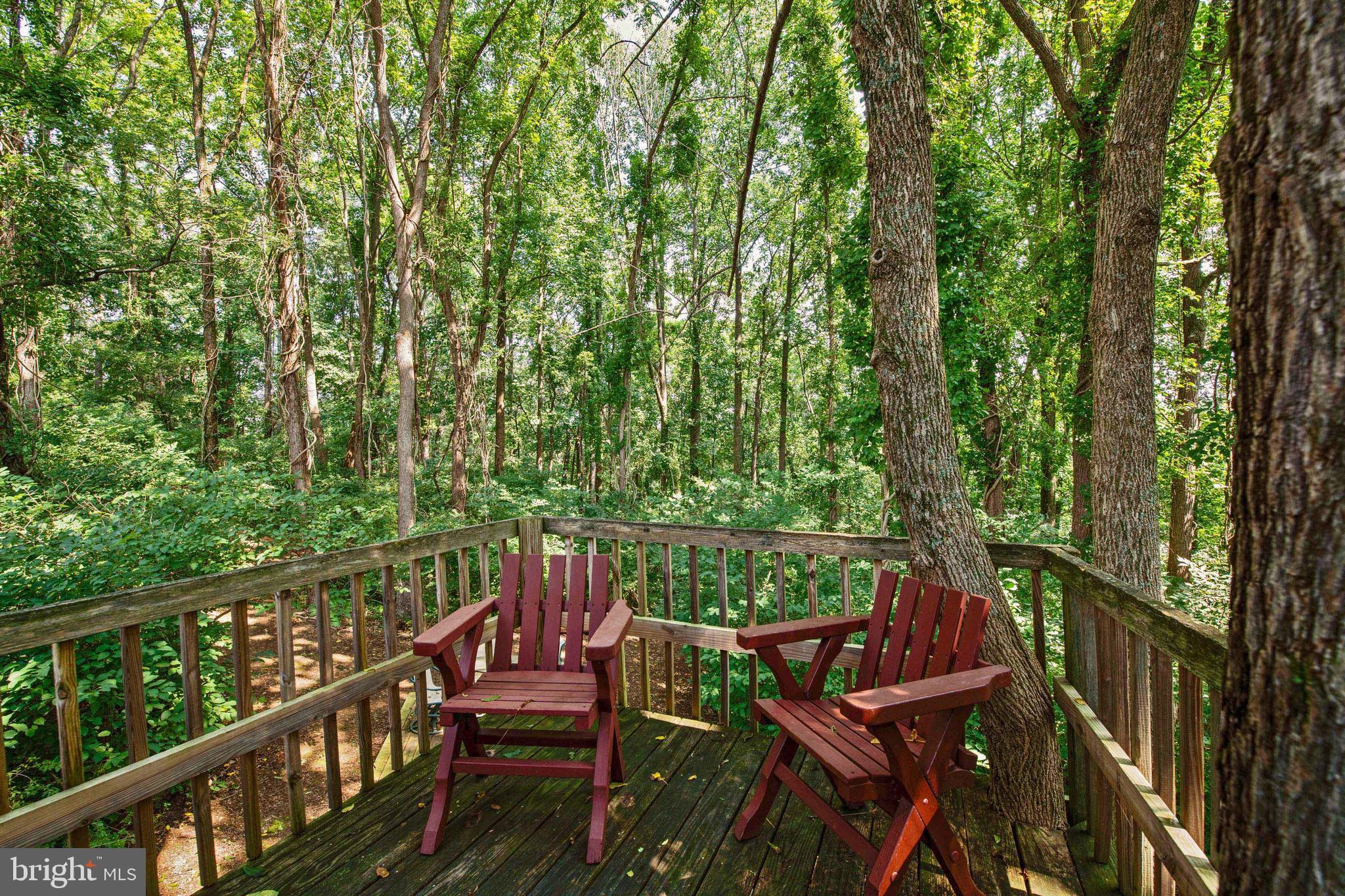 1066 Berberi Road Westminster, MD 21157 - Photo 46 of 58 Great Views from the Treehouse