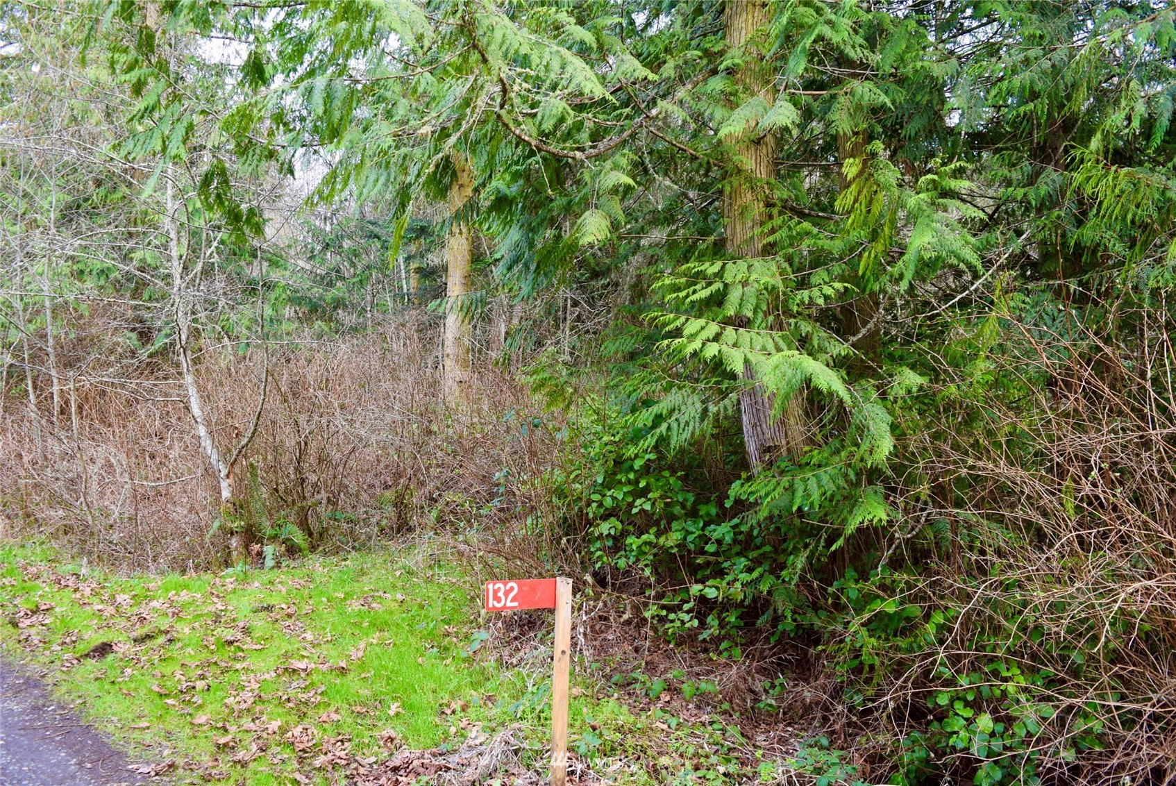 132 Raptor Way Sequim, WA 98382 - Photo 1 of 16 Gallery Image 1