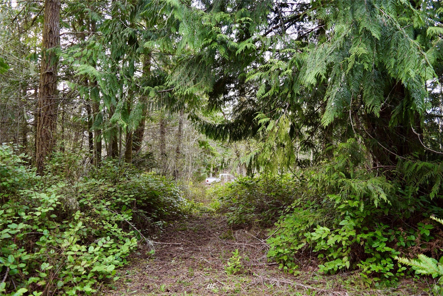 132 Raptor Way Sequim, WA 98382 - Photo 11 of 16 Gallery Image 11