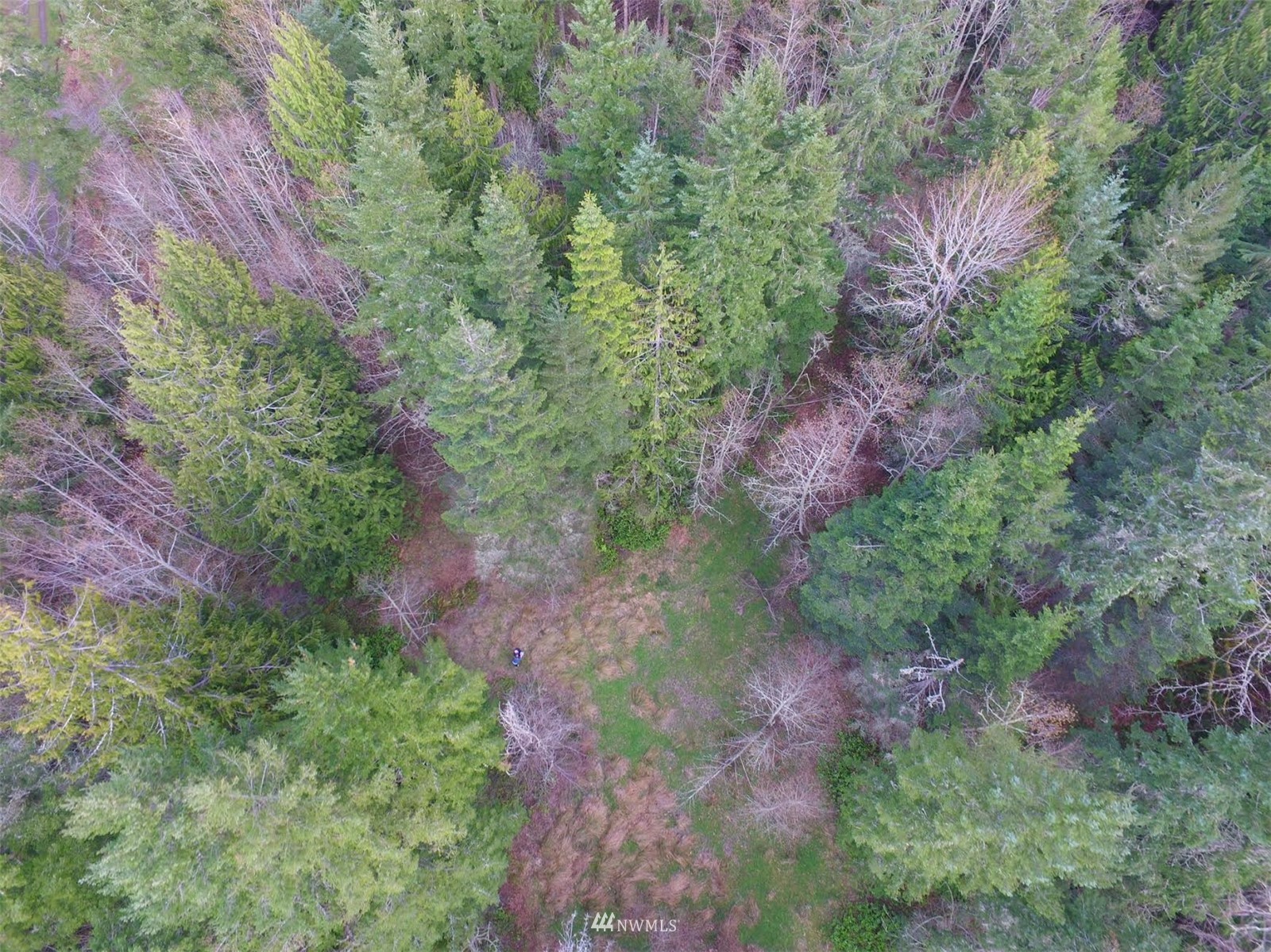 132 Raptor Way Sequim, WA 98382 - Photo 14 of 16 Gallery Image 14