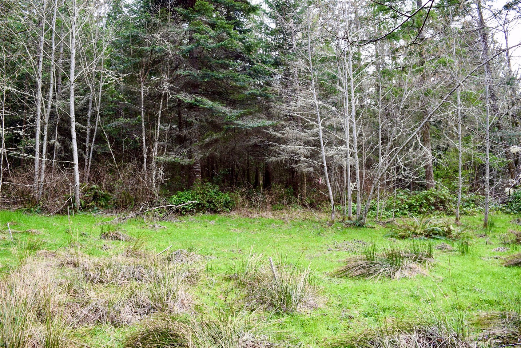 132 Raptor Way Sequim, WA 98382 - Photo 6 of 16 Gallery Image 6