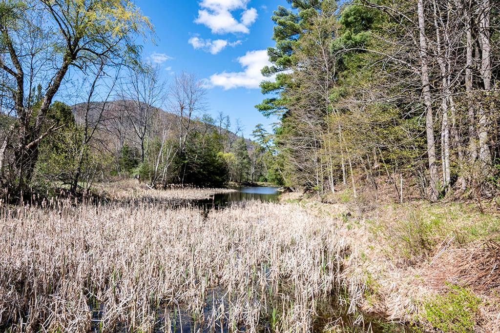 25 Trumbulls Road Jay, NY 12941 - Photo 35 of 43 Gallery Image 35