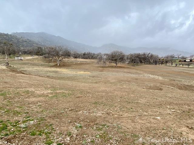 21719 Old Town Road Tehachapi, CA 93561 - Photo 74 of 75 Gallery Image 74
