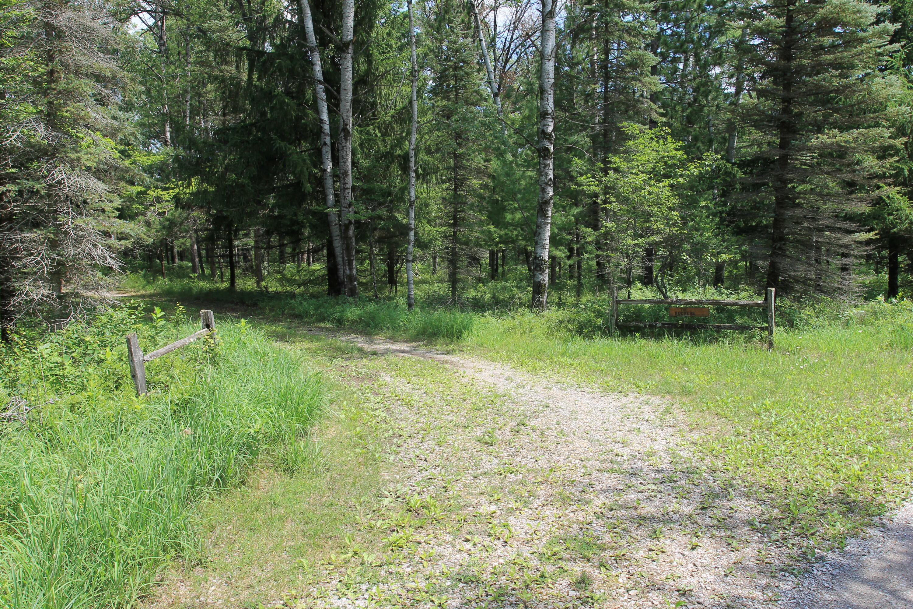 56 South Wye Bend Road Grayling, MI 49738 - Photo 66 of 71 Gallery Image 66