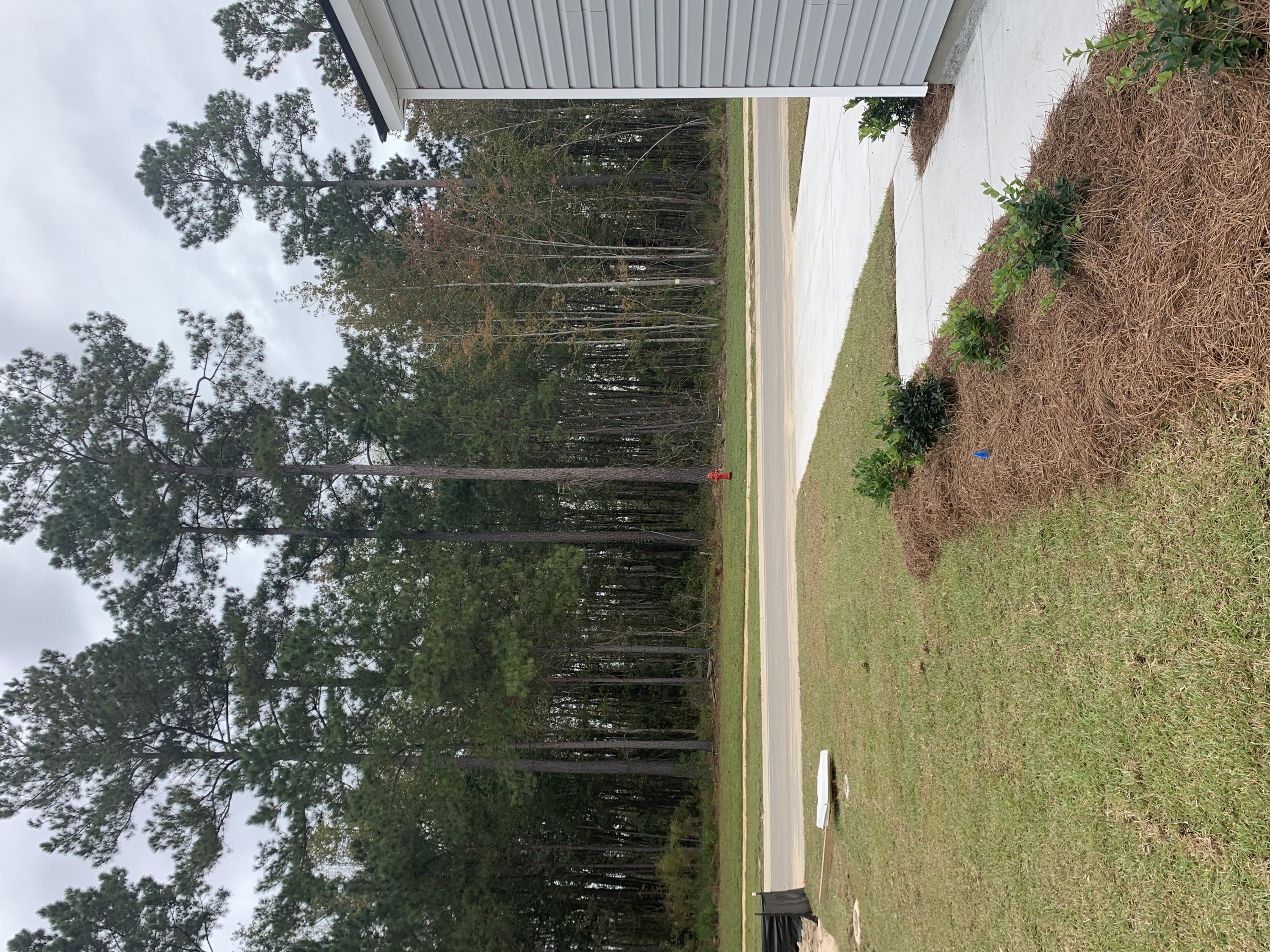 447 Spanish Wells Road Summerville, SC 29486 - Photo 27 of 27 IMG_0951