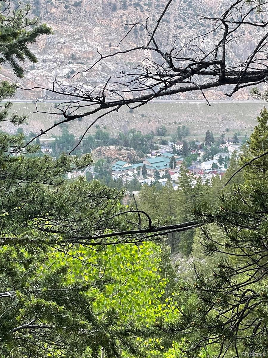 1431 Marion Street Georgetown, CO 80444 - Photo 49 of 50 a view of a yard