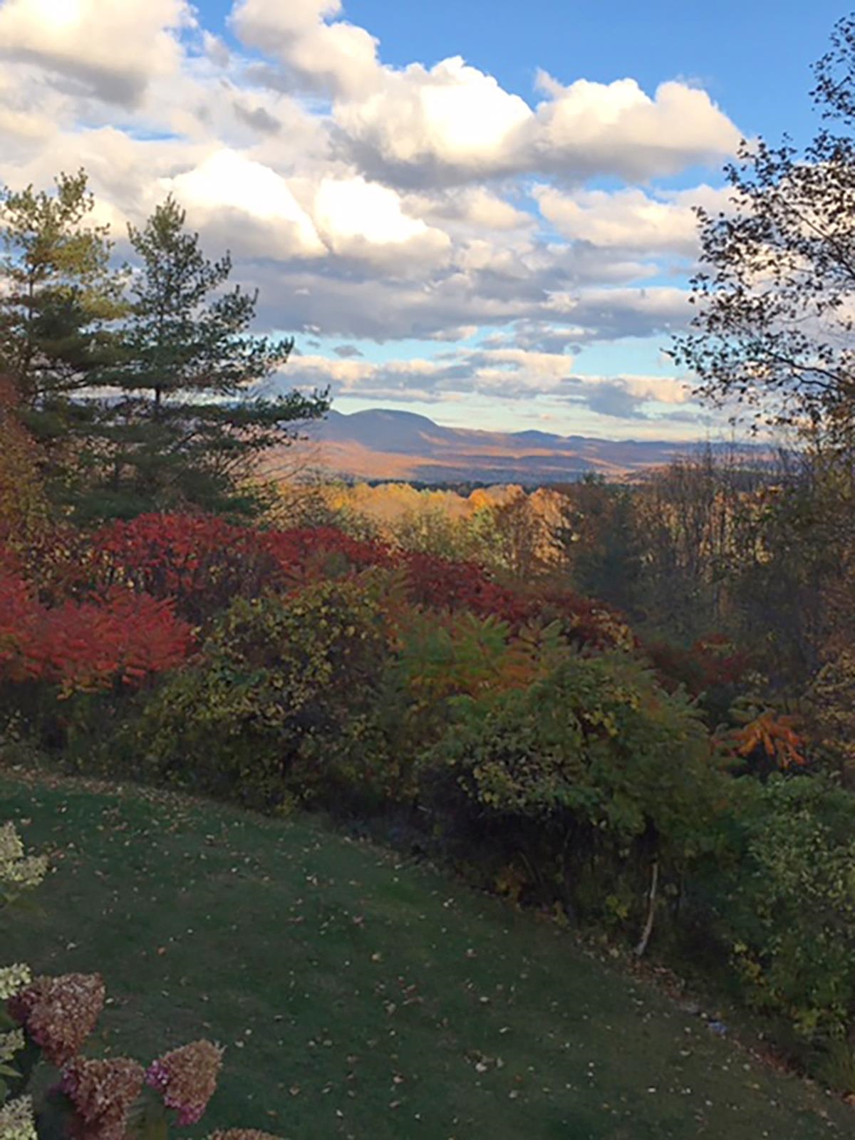 2095 Huff Pond Road Sudbury, VT 05733 - Photo 25 of 32 Gallery Image 25