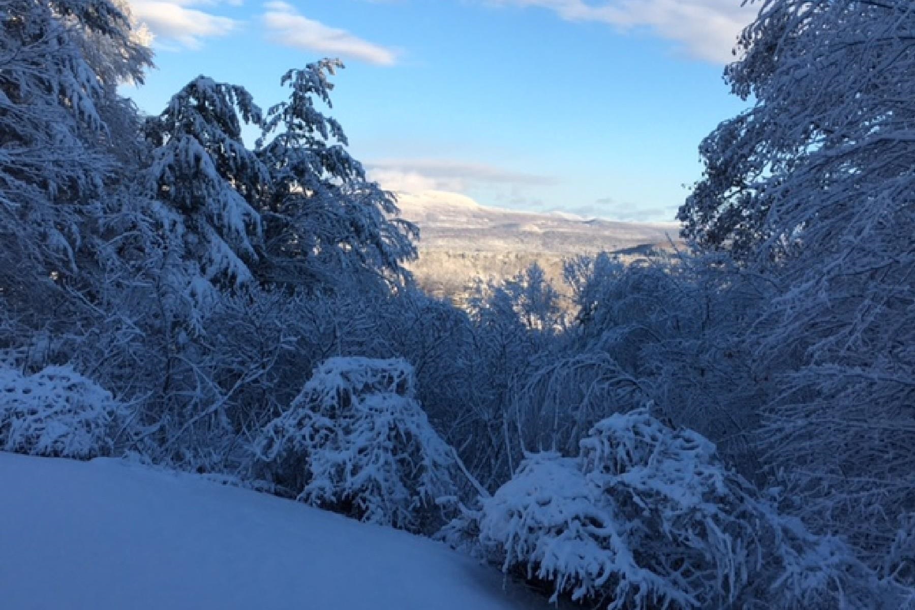 2095 Huff Pond Road Sudbury, VT 05733 - Photo 26 of 32 Gallery Image 26