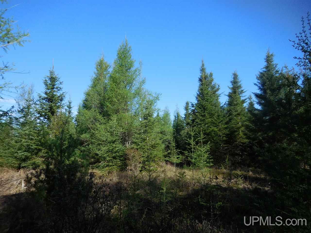 1480 Acres On Co Road Manistique, MI 49854 - Photo 2 of 49