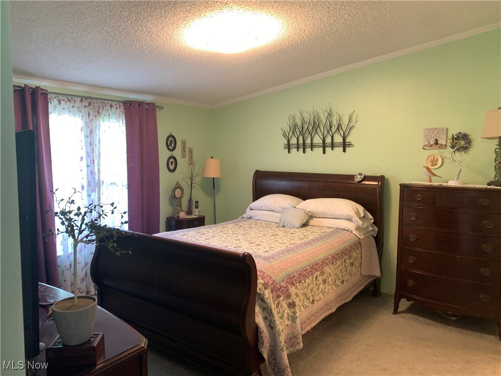 1454 Bonner Road Deerfield, OH 44411 - Photo 14 of 30 Large primary bedroom with walk in closet and en suite full bath
