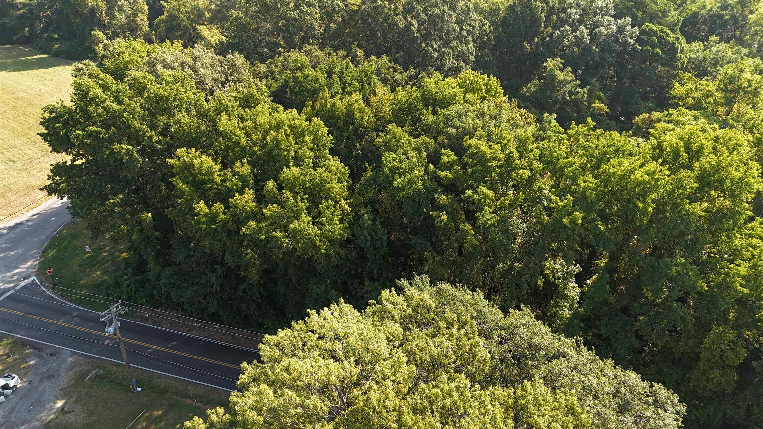707 Craft Road Memphis, TN 38116 - Photo 3 of 7 a view of a garden