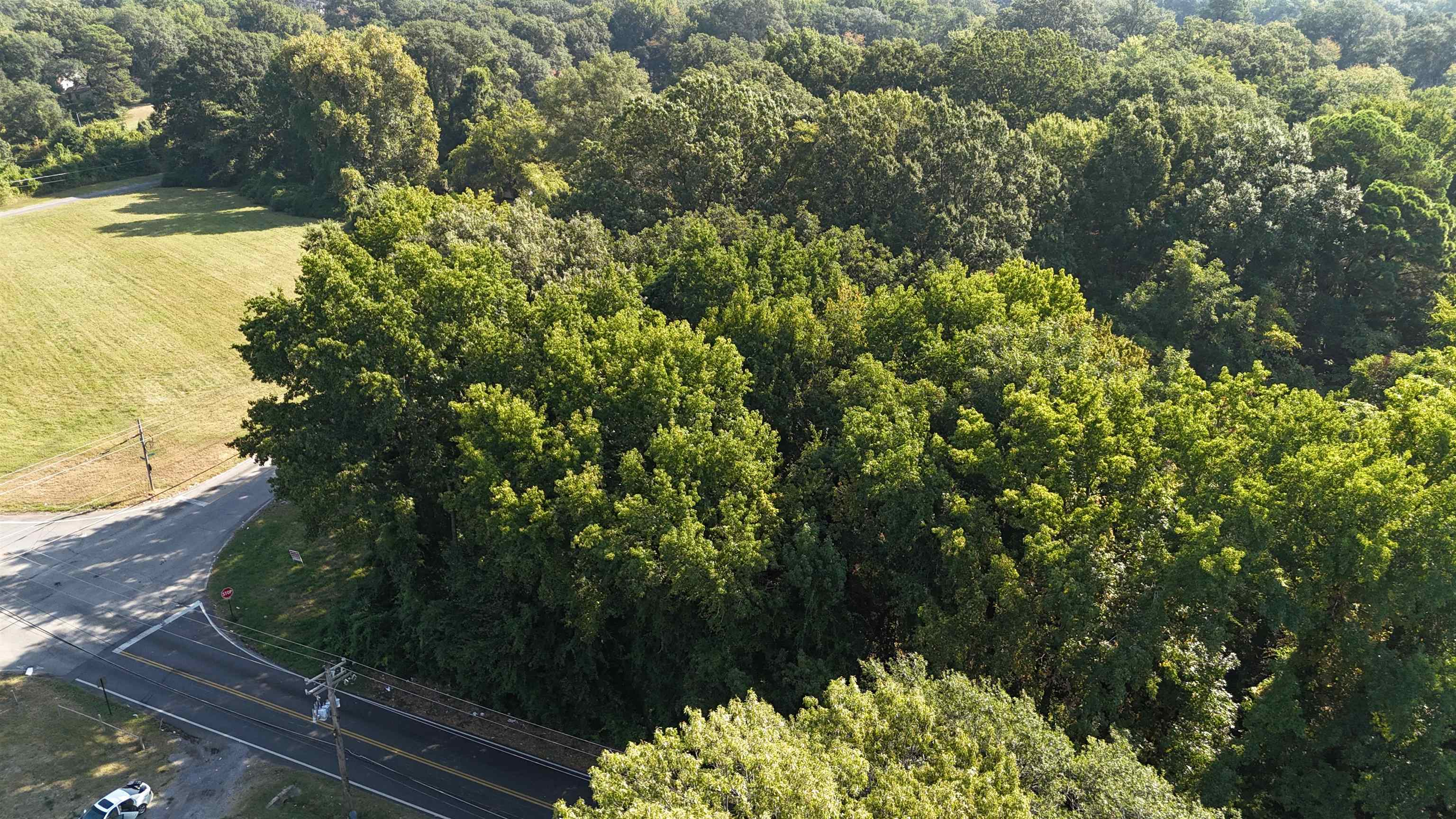 707 Craft Road Memphis, TN 38116 - Photo 4 of 7 a view of a garden