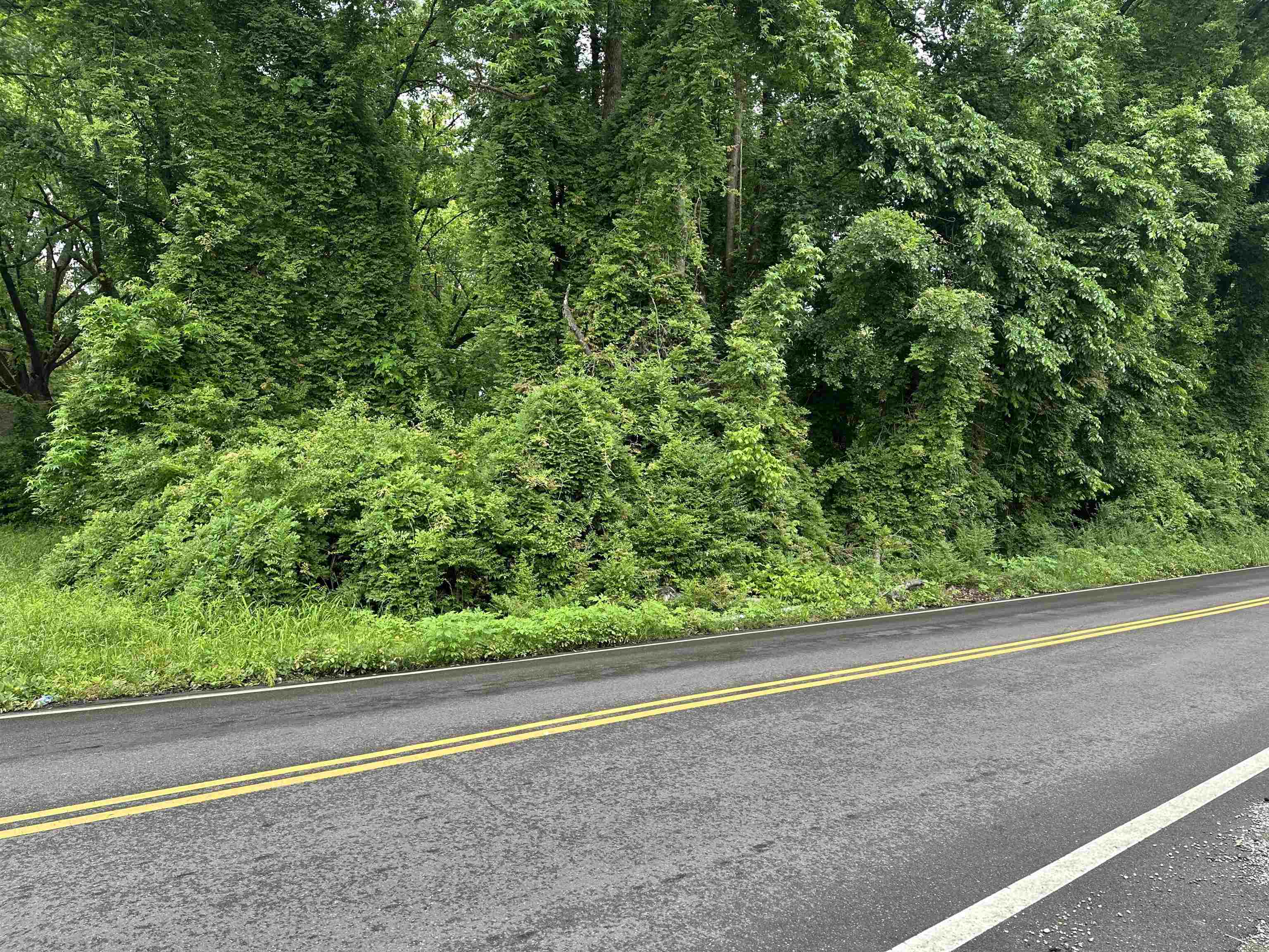707 Craft Road Memphis, TN 38116 - Photo 6 of 7 a view of a garden from a window