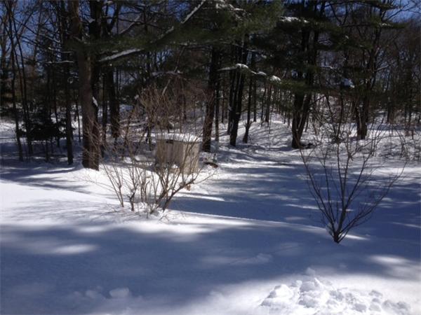 76 Coolidge Road Walpole, MA 02081 - Photo 3 of 18 Gallery Image 3