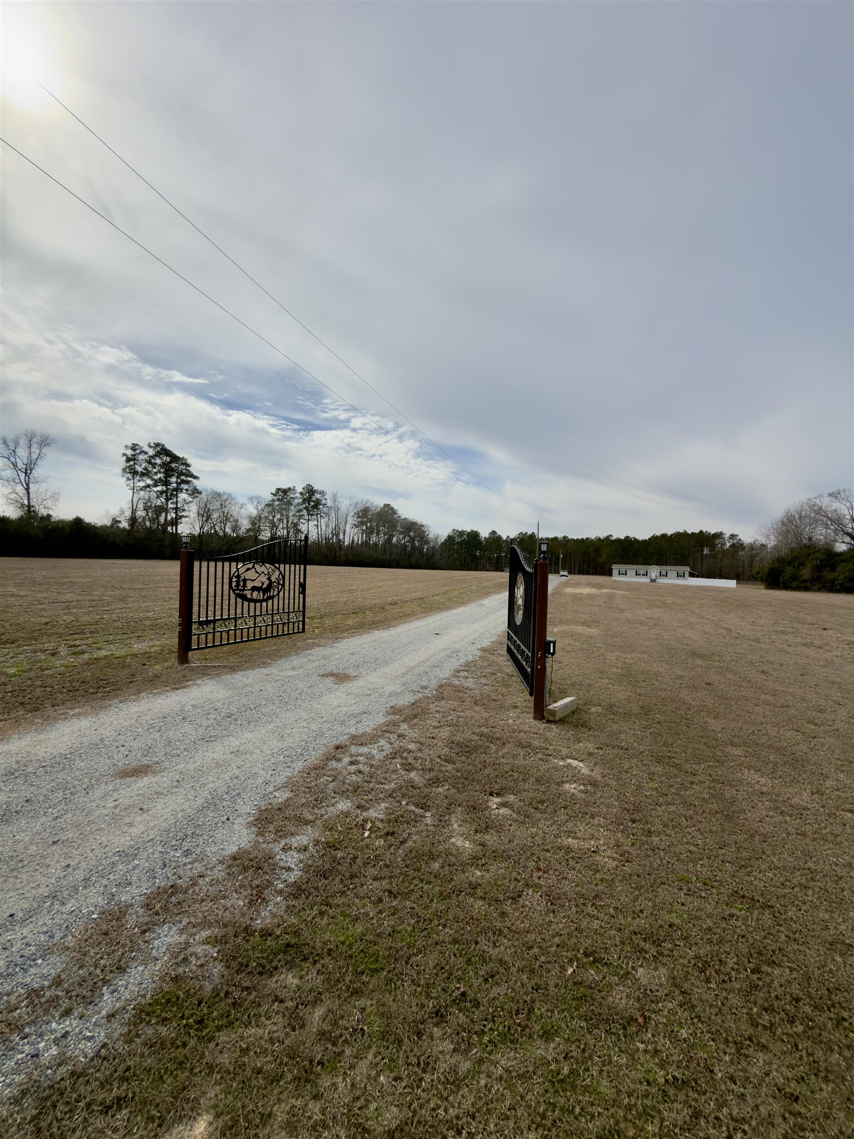 2249 Joann Branch Road Dillon, SC 29536 - Photo 1 of 31