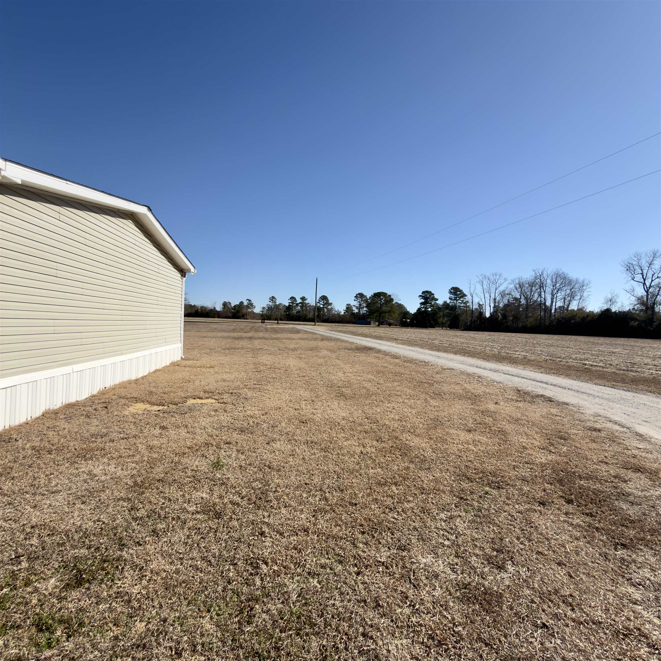 2249 Joann Branch Road Dillon, SC 29536 - Photo 11 of 31