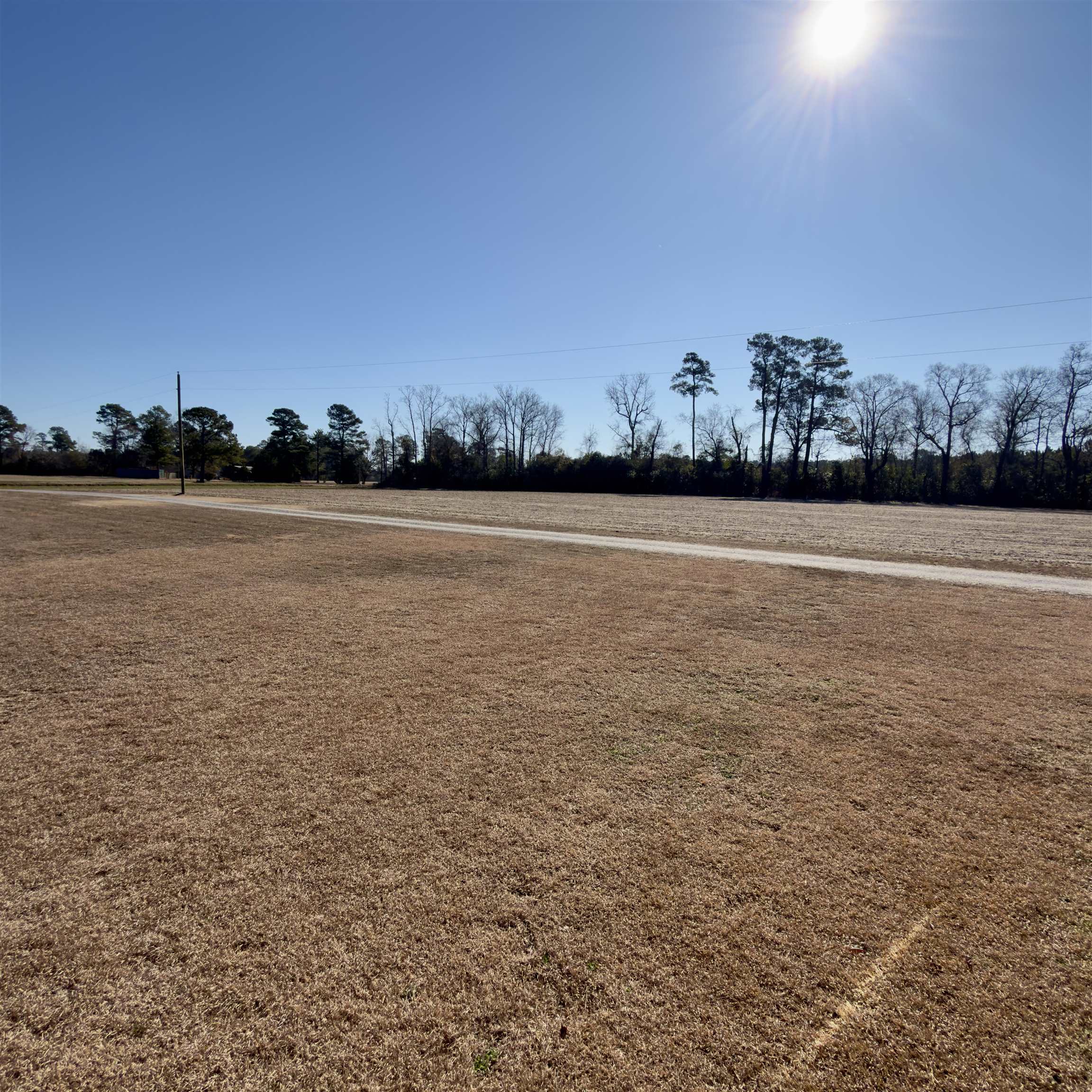 2249 Joann Branch Road Dillon, SC 29536 - Photo 12 of 31