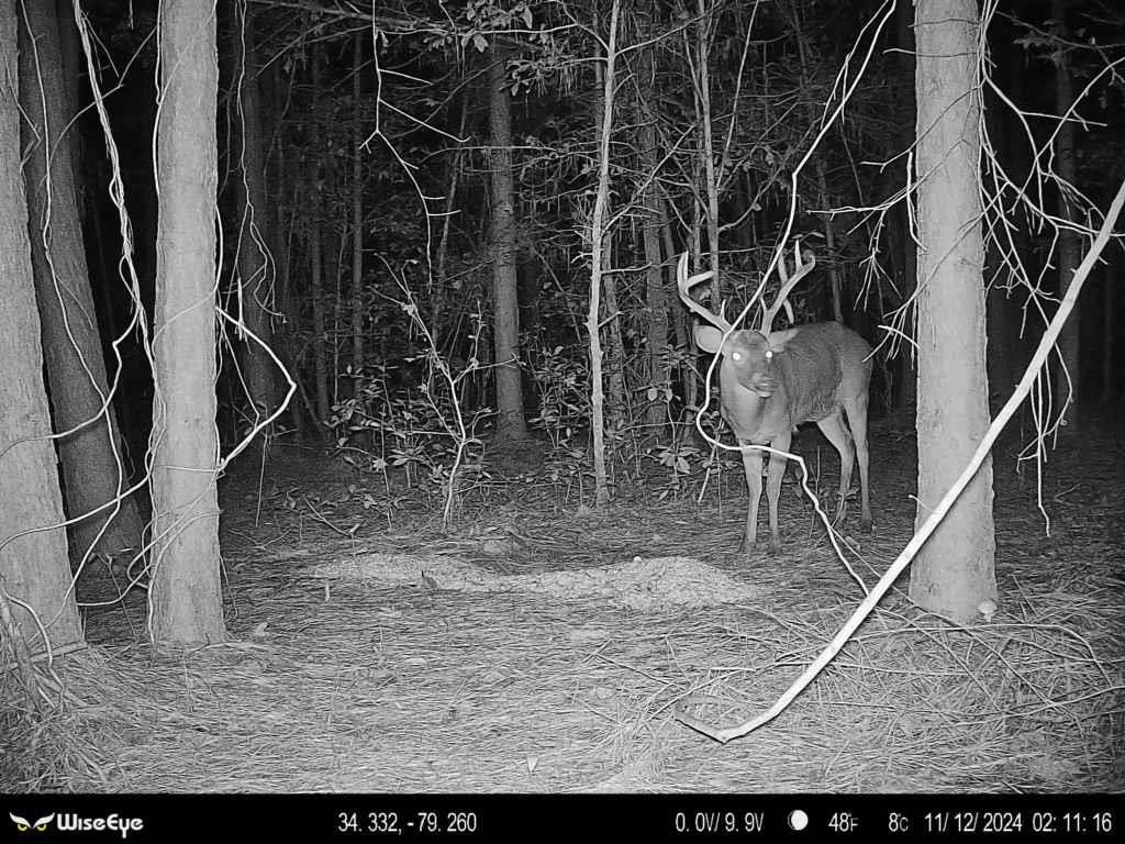 2249 Joann Branch Road Dillon, SC 29536 - Photo 23 of 31