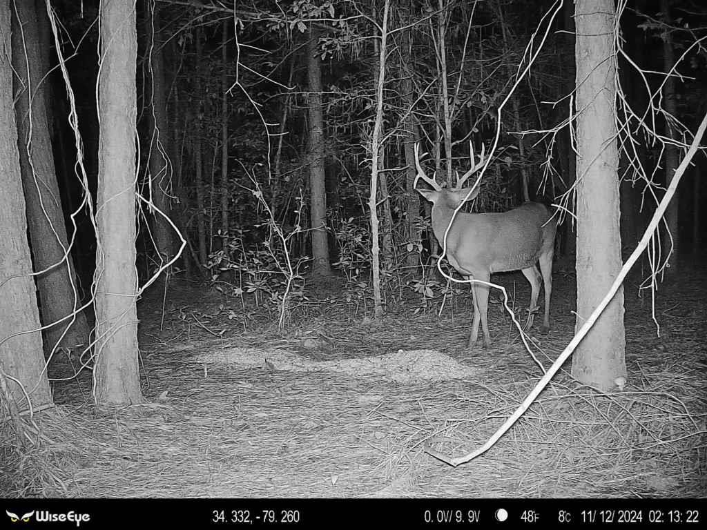 2249 Joann Branch Road Dillon, SC 29536 - Photo 24 of 31